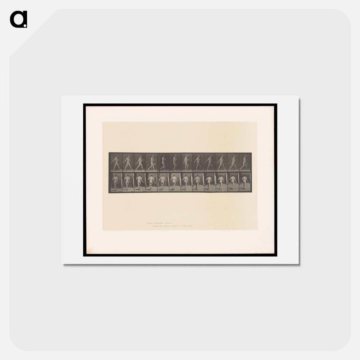 アートポストカード-A Man Sowing
- エドワード マイブリッジ Postcard.