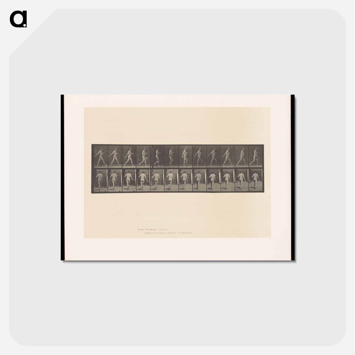 アートポストカード-A Man Sowing
- エドワード マイブリッジ Postcard.