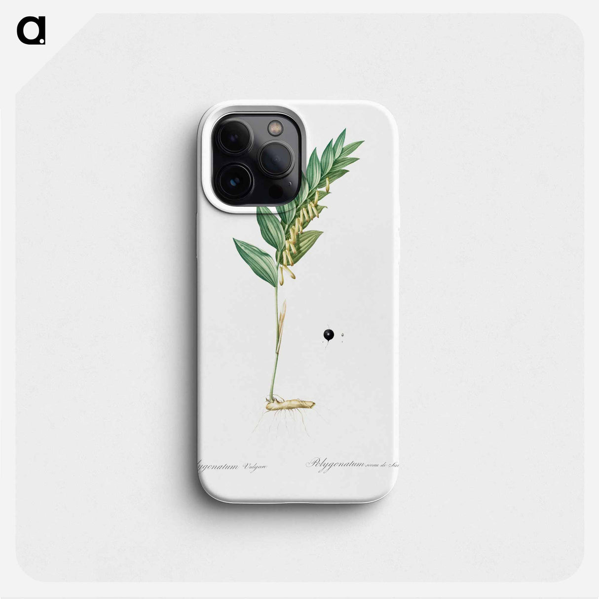Angular solomon's seal illustration - Pierre Joseph Redouté Phone Case.
