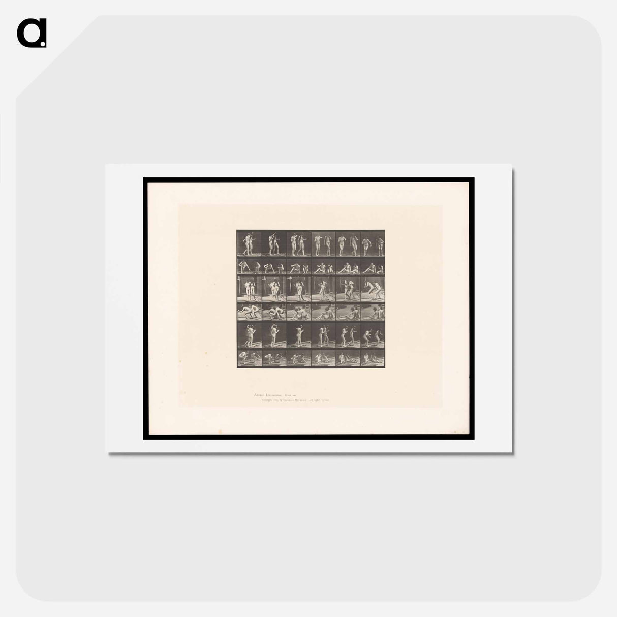 アートポストカード-Two Women Smoking
- エドワード マイブリッジ Postcard.