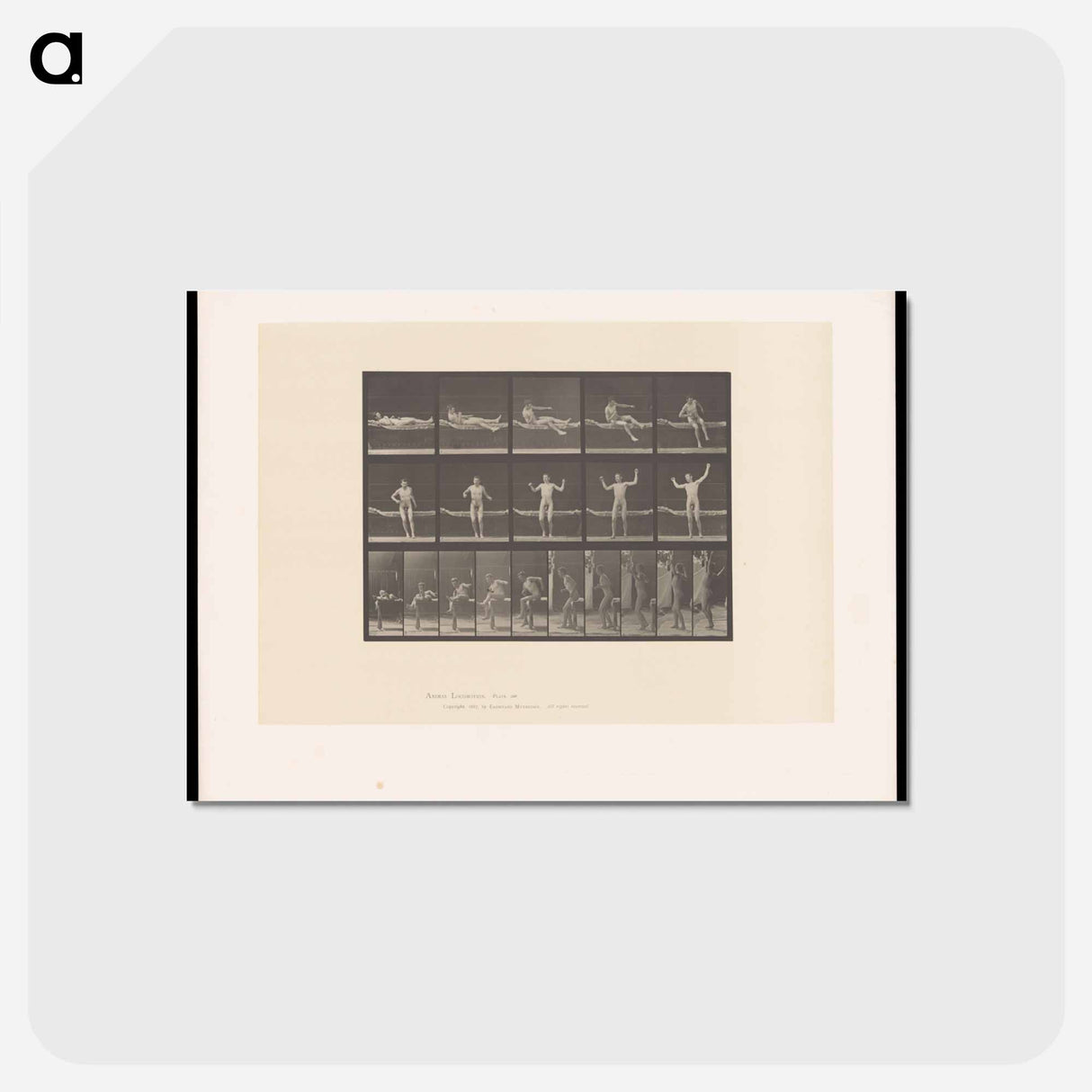 アートポストカード-Man Getting Out of Bed
- エドワード マイブリッジ Postcard.