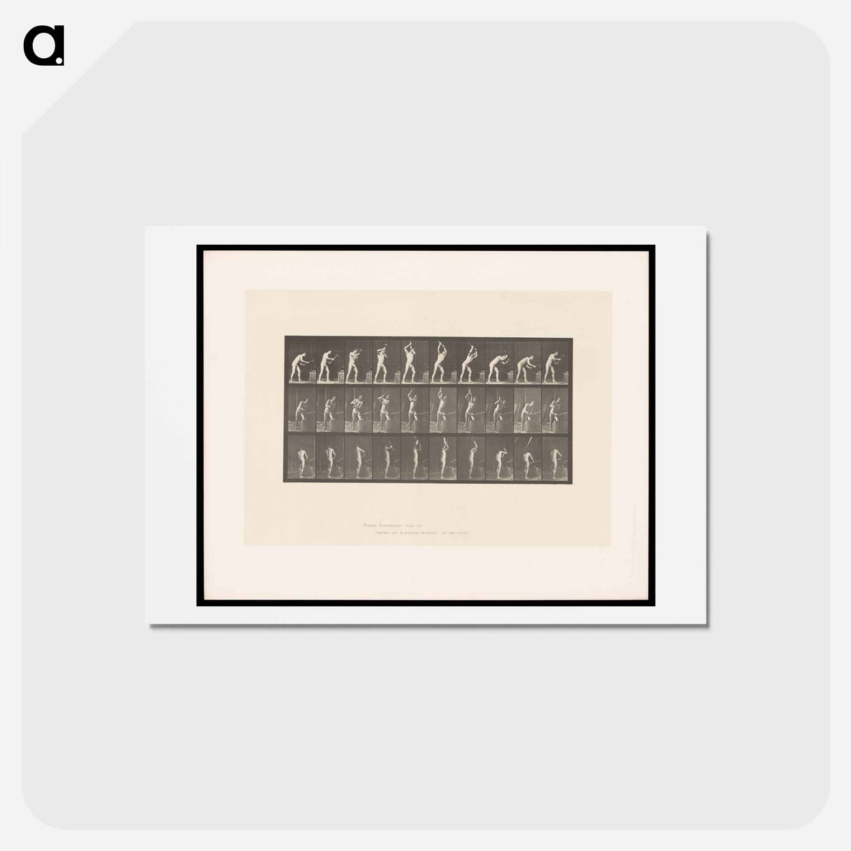 アートポストカード-The Blacksmith
- エドワード マイブリッジ Postcard.