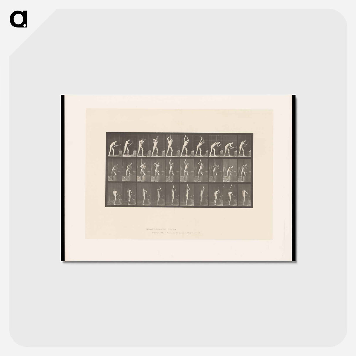 アートポストカード-The Blacksmith
- エドワード マイブリッジ Postcard.