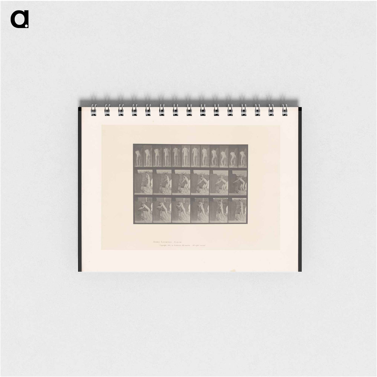 アートメモ帳-Man at Crank
- エドワード マイブリッジ Memo.