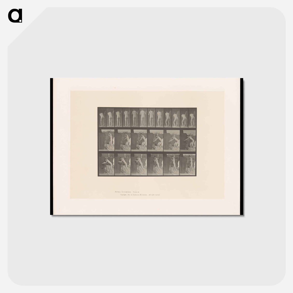 アートポストカード-Man at Crank
- エドワード マイブリッジ Postcard.