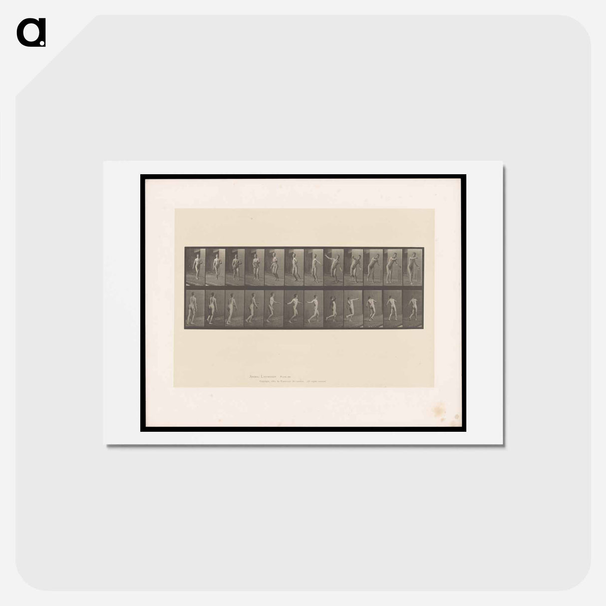 アートポストカード-Bowling
- エドワード マイブリッジ Postcard.