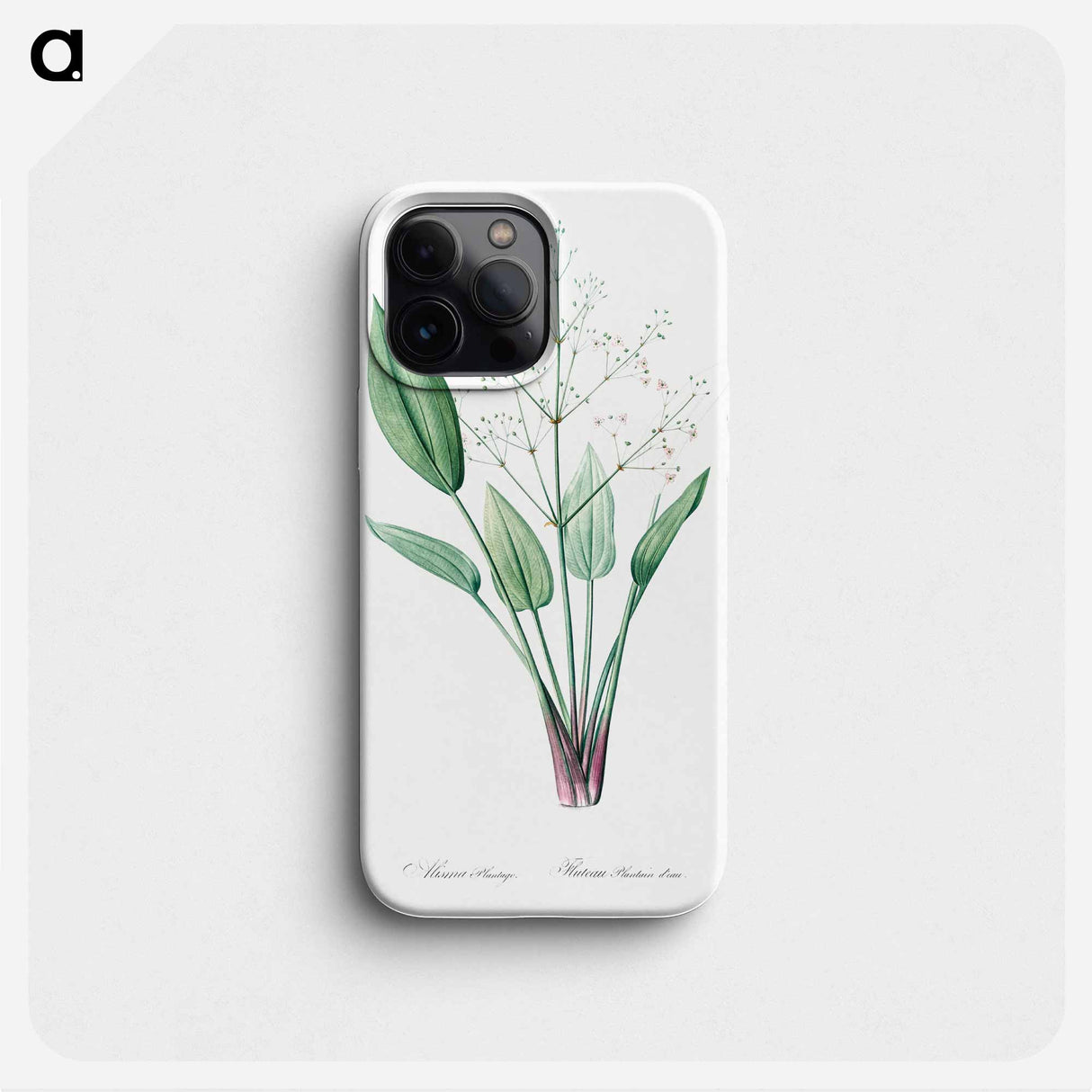 European water-plantain illustration - Pierre Joseph Redouté Phone Case.