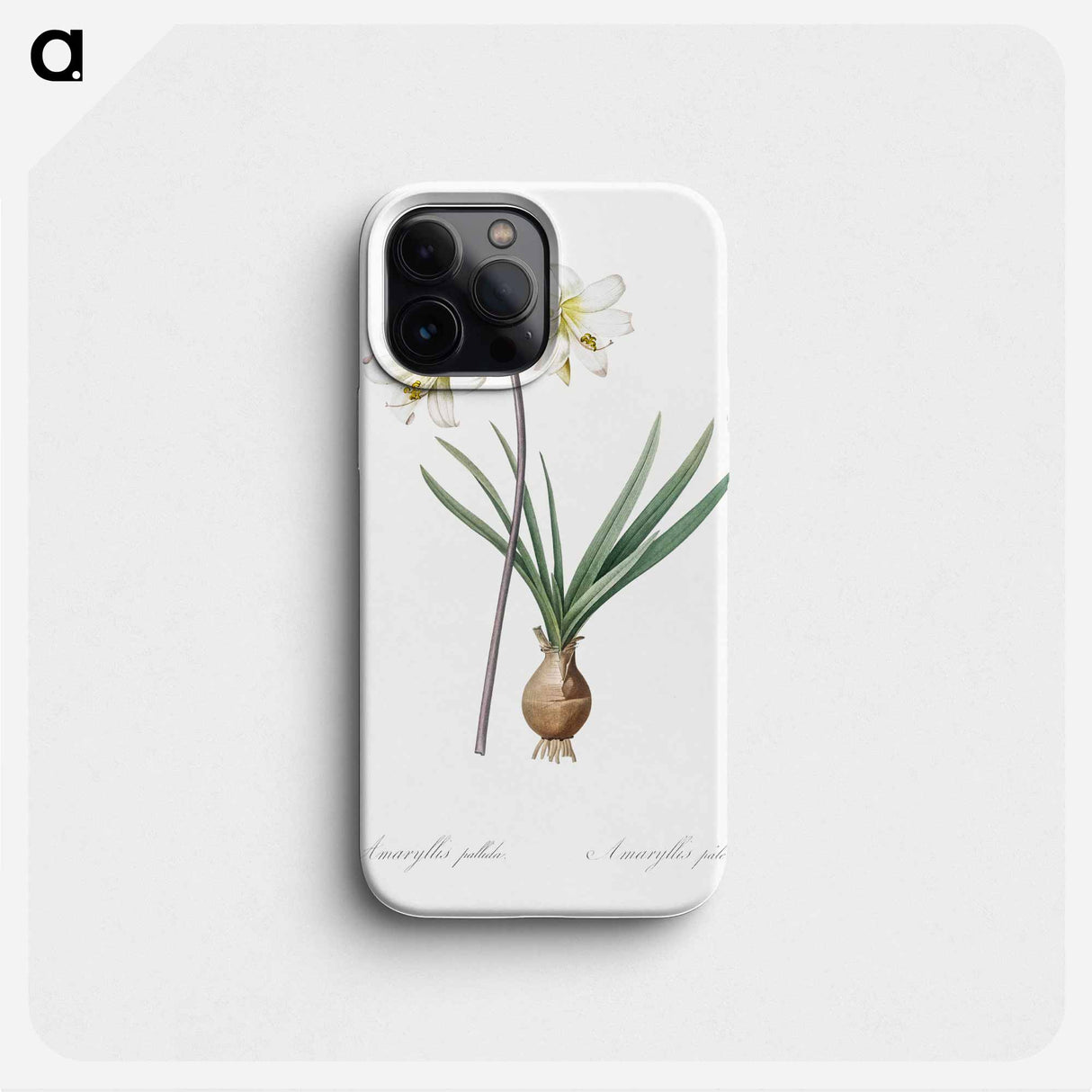 Belladonna lily illustration - Pierre Joseph Redouté Phone Case.