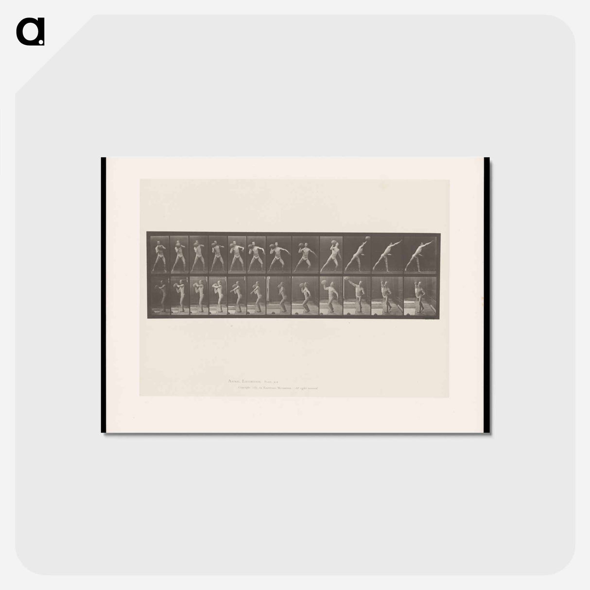アートポストカード-The Stone Thrower
- エドワード マイブリッジ Postcard.
