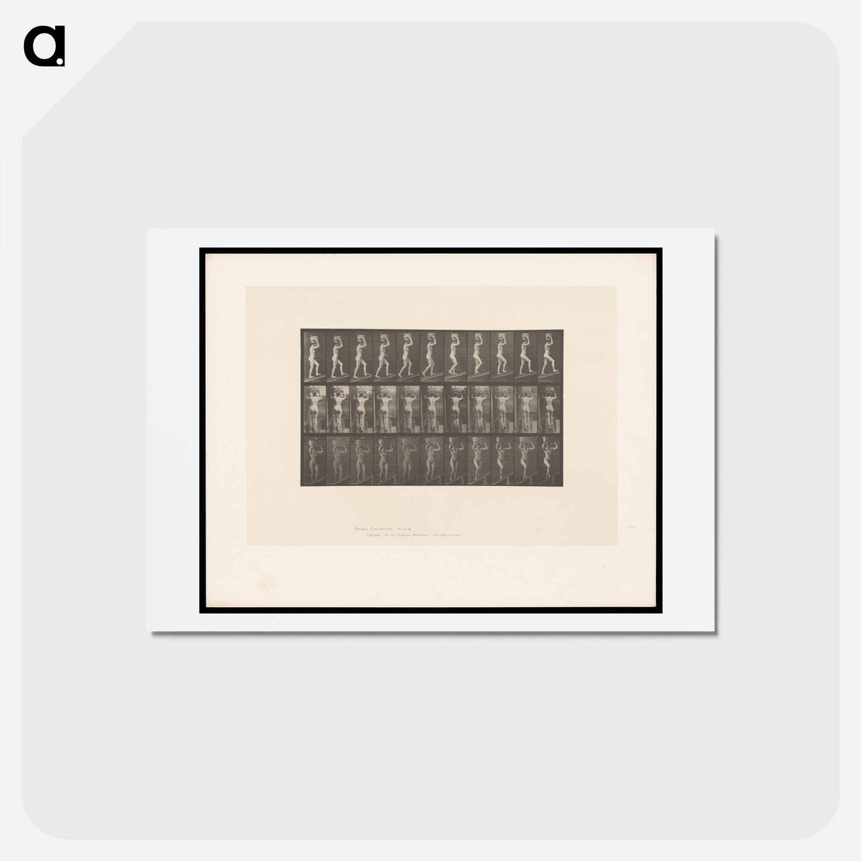 アートポストカード-Woman with Basket
- エドワード マイブリッジ Postcard.