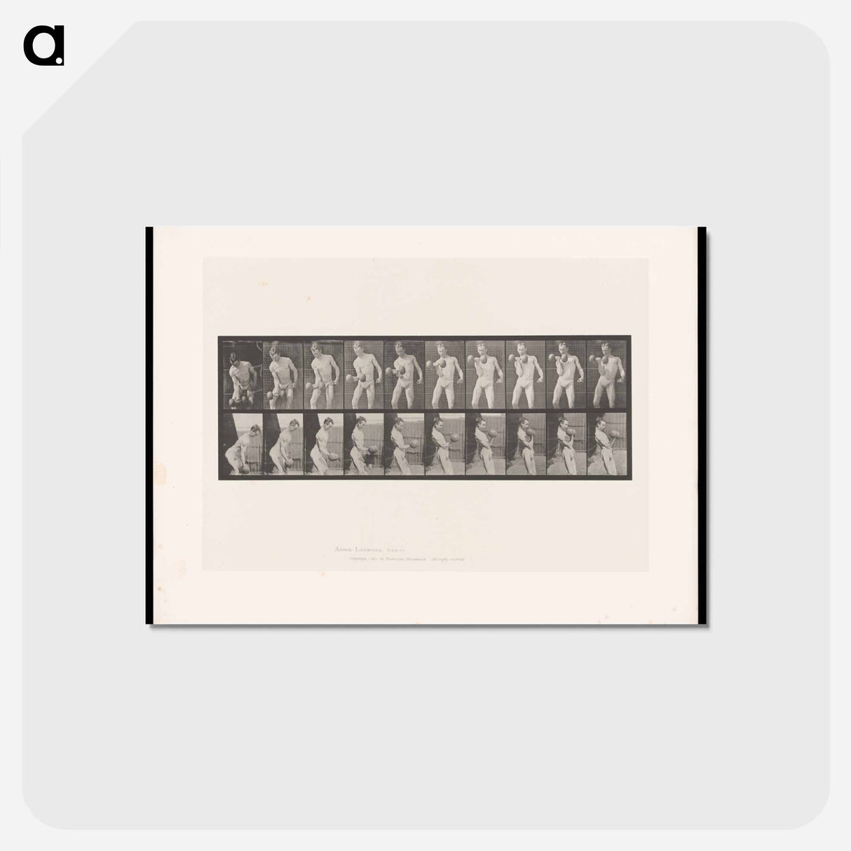 アートポストカード-Man Lifting Dumbbell
- エドワード マイブリッジ Postcard.