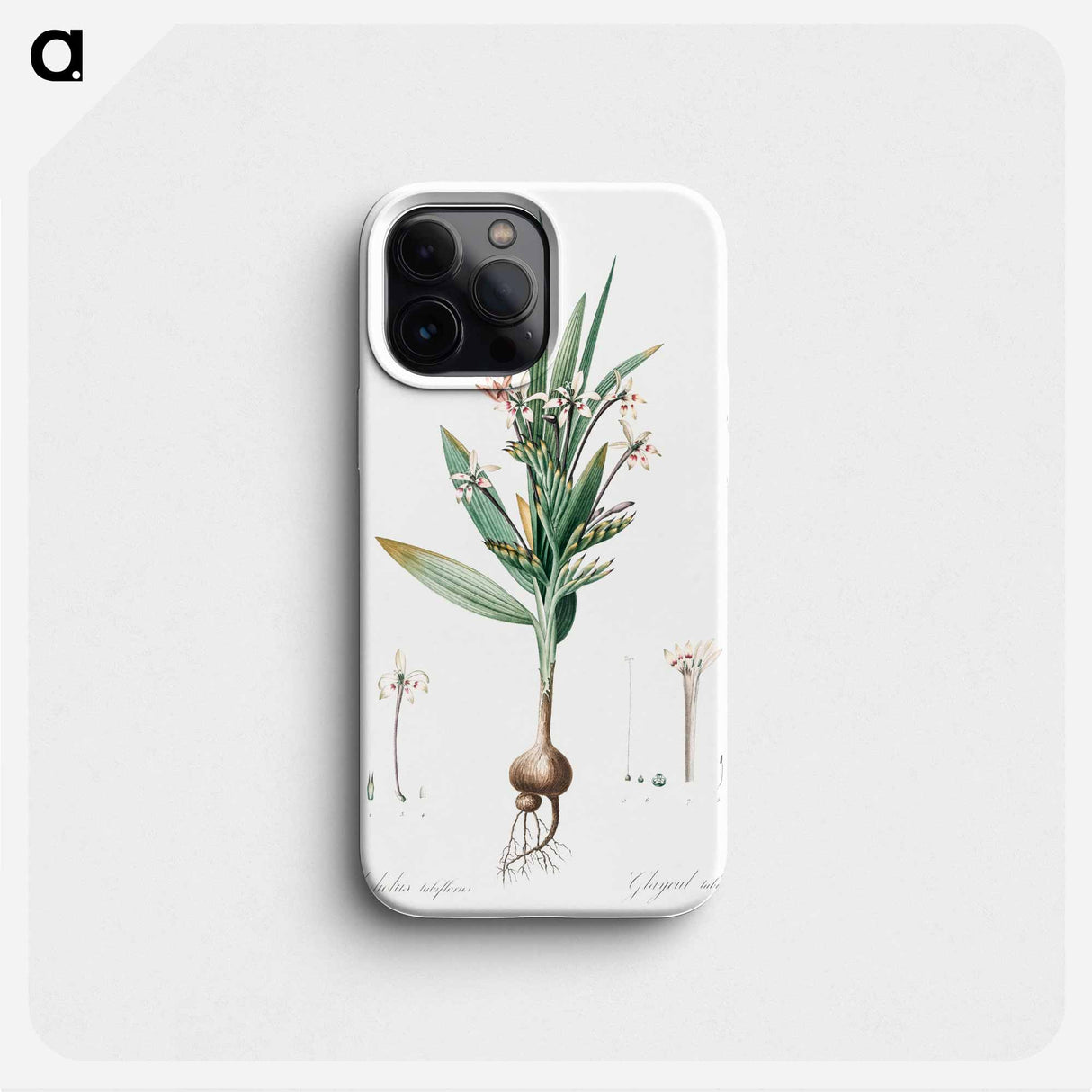Baboon root illustration - Pierre Joseph Redouté Phone Case.