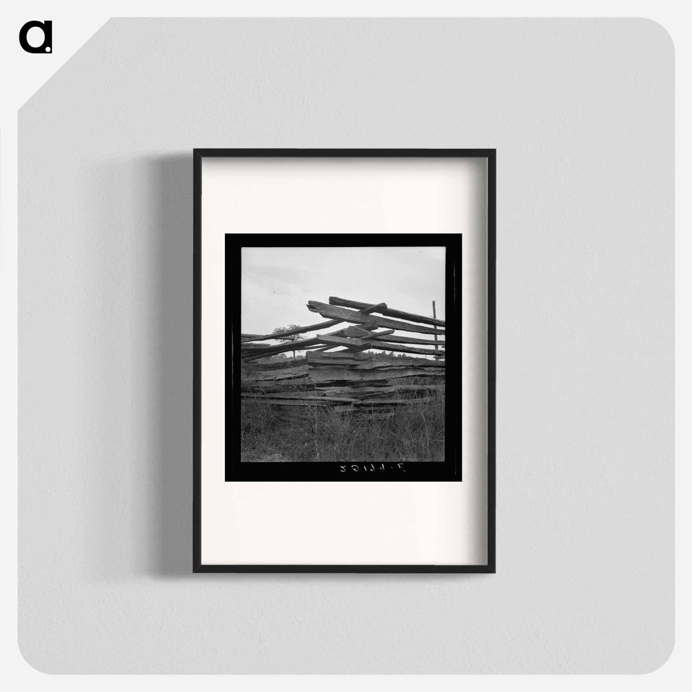 Untitled photo - Dorothea Lange Poster.