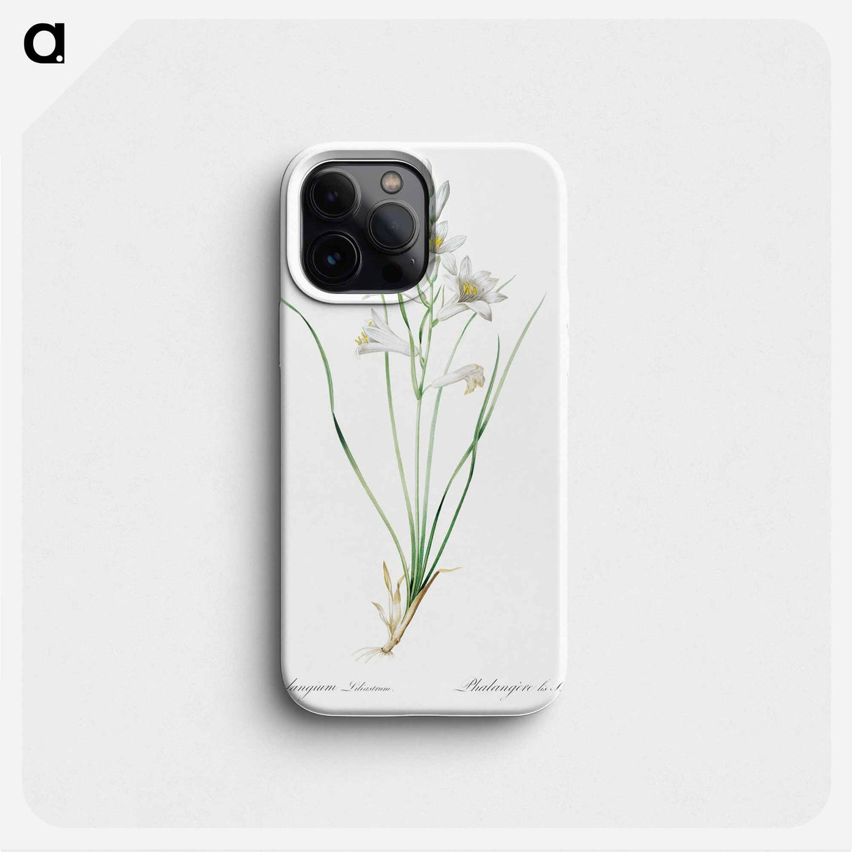 Paradise lily illustration - Pierre Joseph Redouté Phone Case.