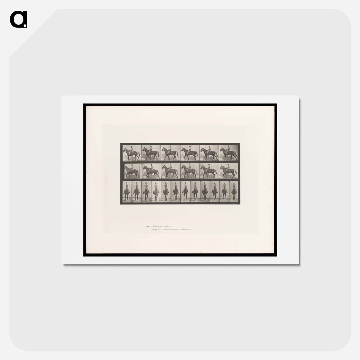 アートポストカード-Man on Horse
- エドワード マイブリッジ Postcard.