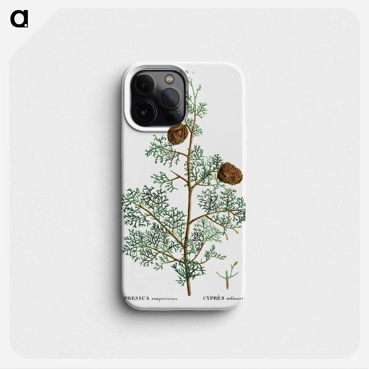 Mediterranean cypress - ピエール ジョゼフ ルドゥーテ Phone Case.