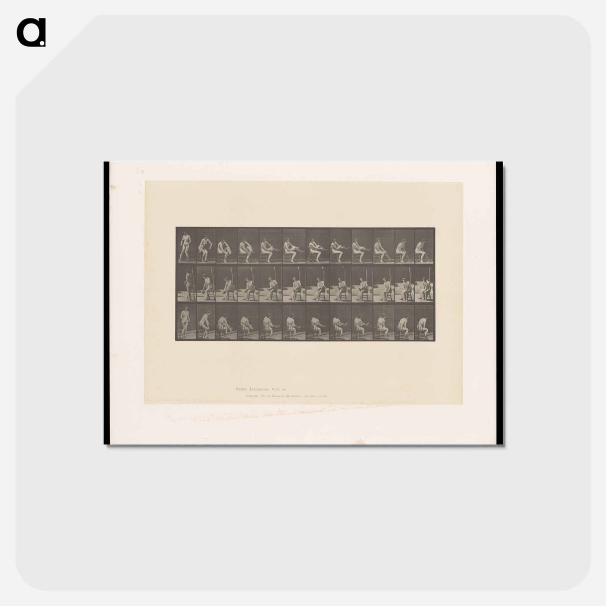 アートポストカード-Woman Putting on Stocking
- エドワード マイブリッジ Postcard.