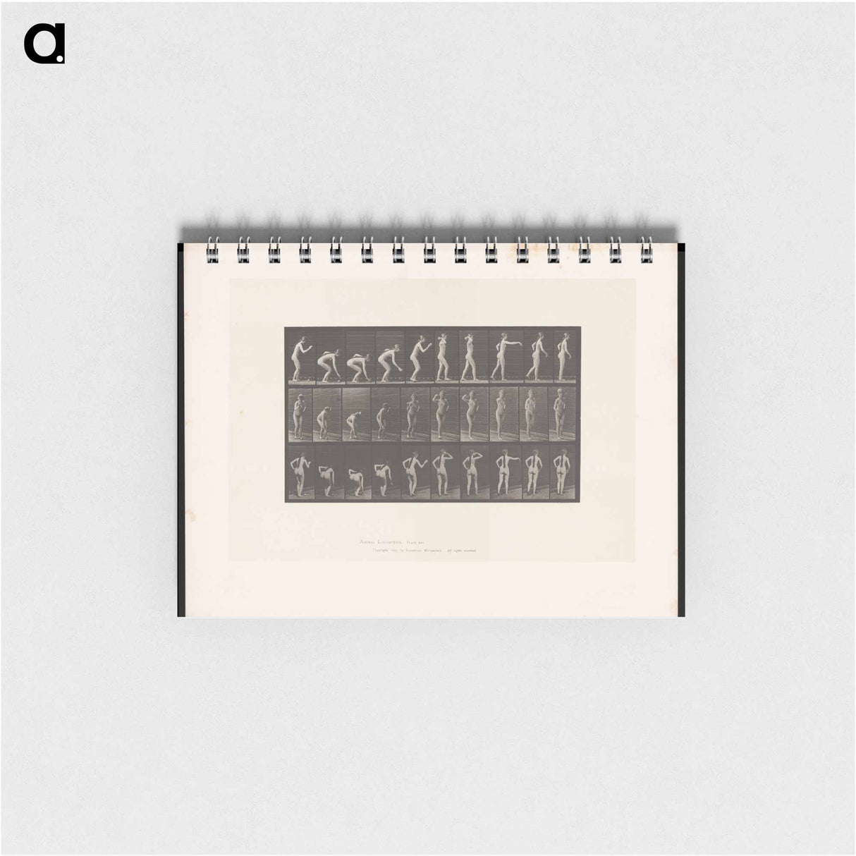 アートメモ帳-Throwing the Ball
- エドワード マイブリッジ Memo.