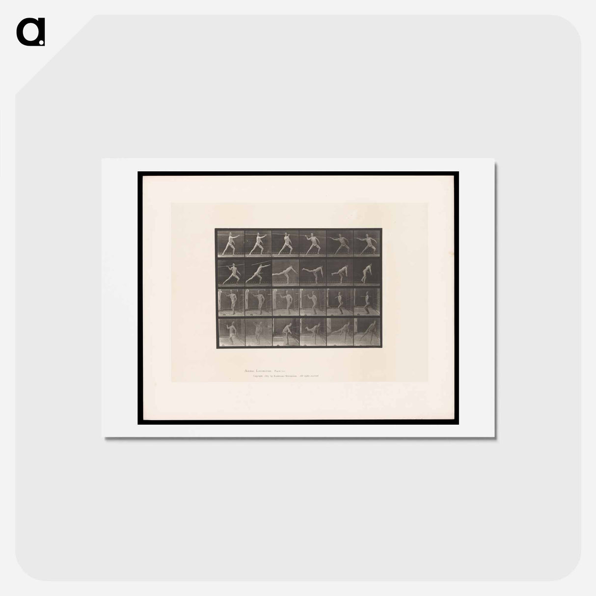 アートポストカード-The Javelin Thrower
- エドワード マイブリッジ Postcard.