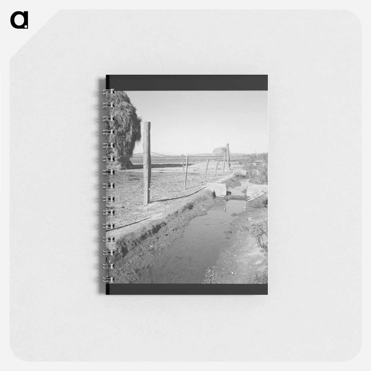 Untitled photo - ドロテア ラング Memo.