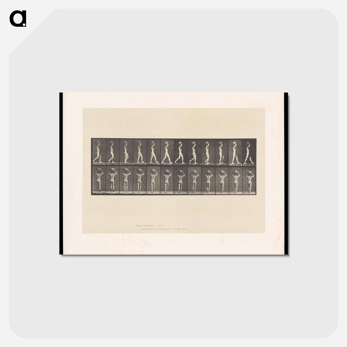 アートポストカード-Man with a Load
- エドワード マイブリッジ Postcard.