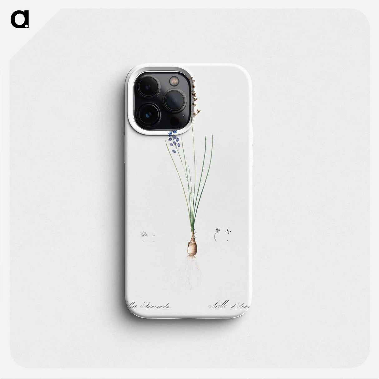 Autumn squill illustration - Pierre Joseph Redouté Phone Case.