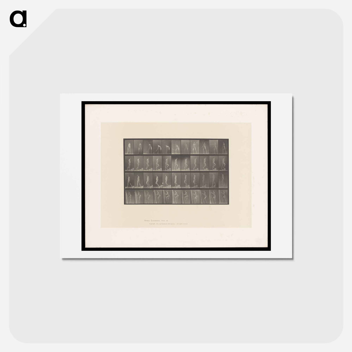 アートポストカード-Naked Man: Motion Study
- エドワード マイブリッジ Postcard.