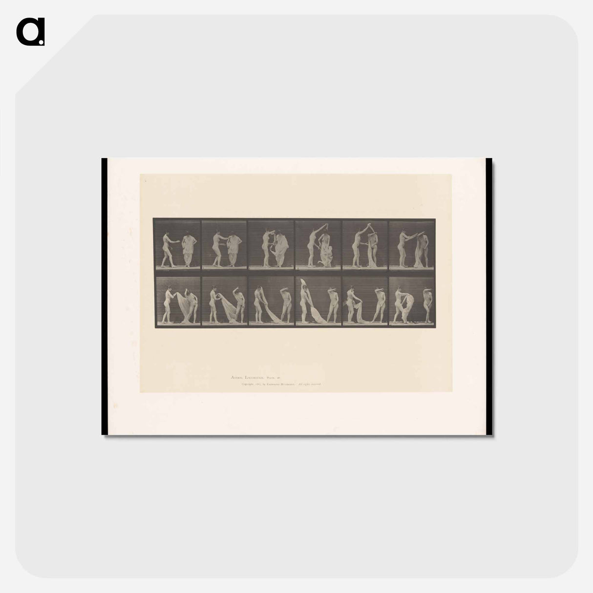 アートポストカード-Undressing
- エドワード マイブリッジ Postcard.