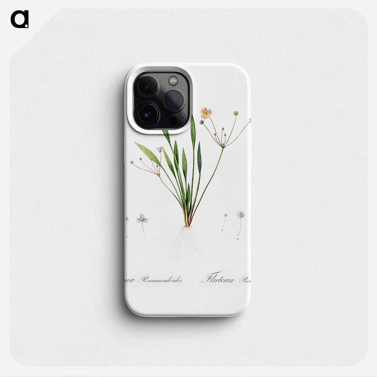 Lesser water-plantain illustration - Pierre Joseph Redouté Phone Case.