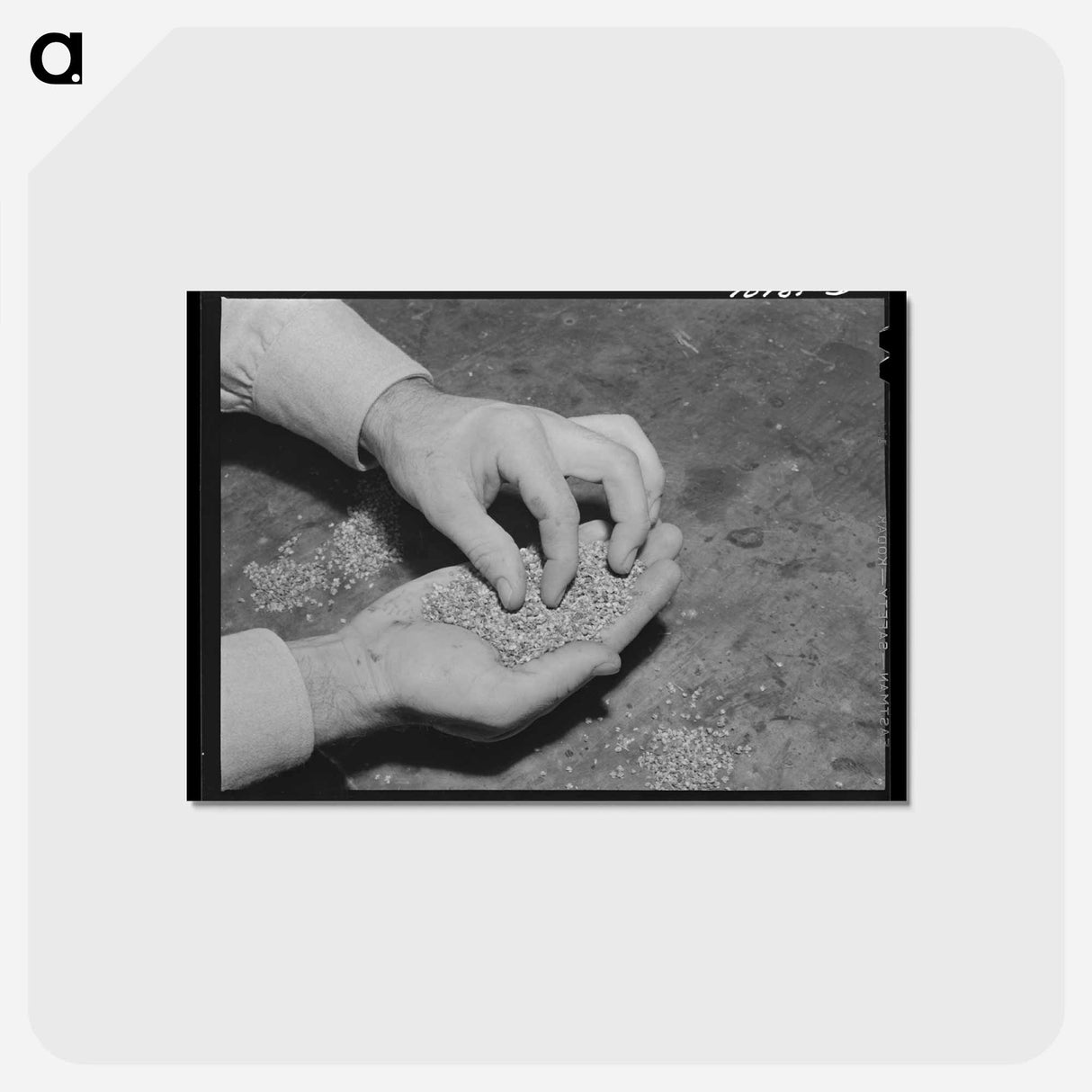 アートポストカード-Worms
- ラッセル リー Postcard.