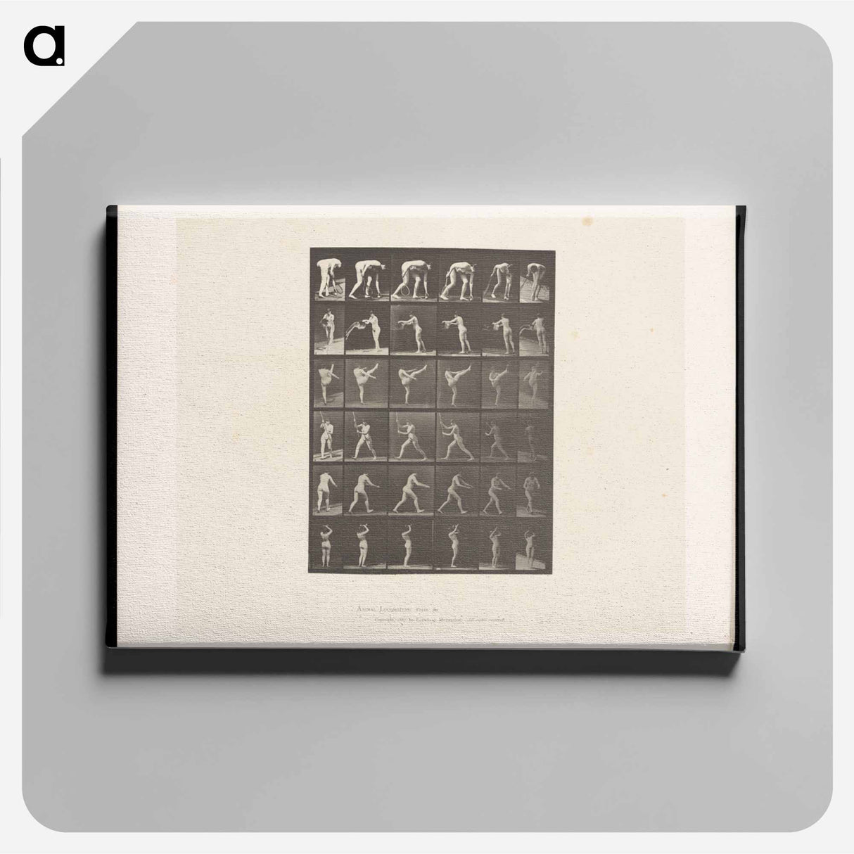 アートパネル-Woman in Motion
- エドワード マイブリッジ Canvas.