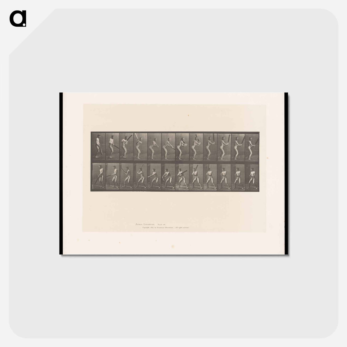 アートポストカード-Batting Man
- エドワード マイブリッジ Postcard.
