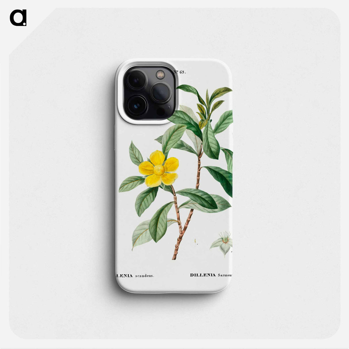 Snake vine - ピエール ジョゼフ ルドゥーテ Phone Case.