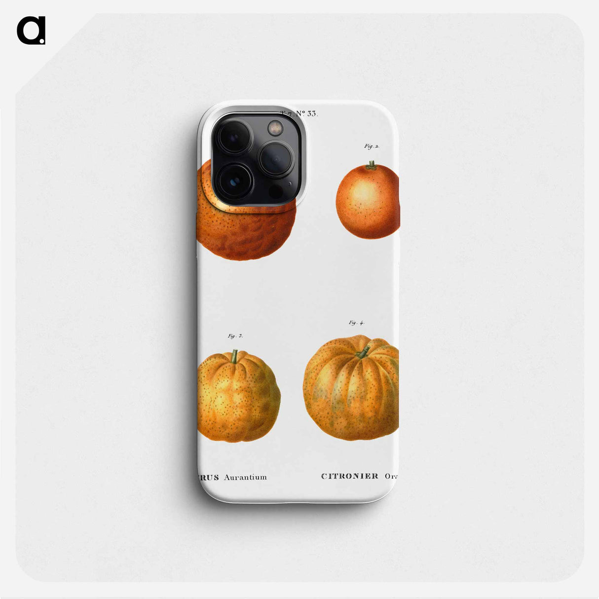Bitter orange (Citrus aurantium) - Pierre Joseph Redouté Phone Case.
