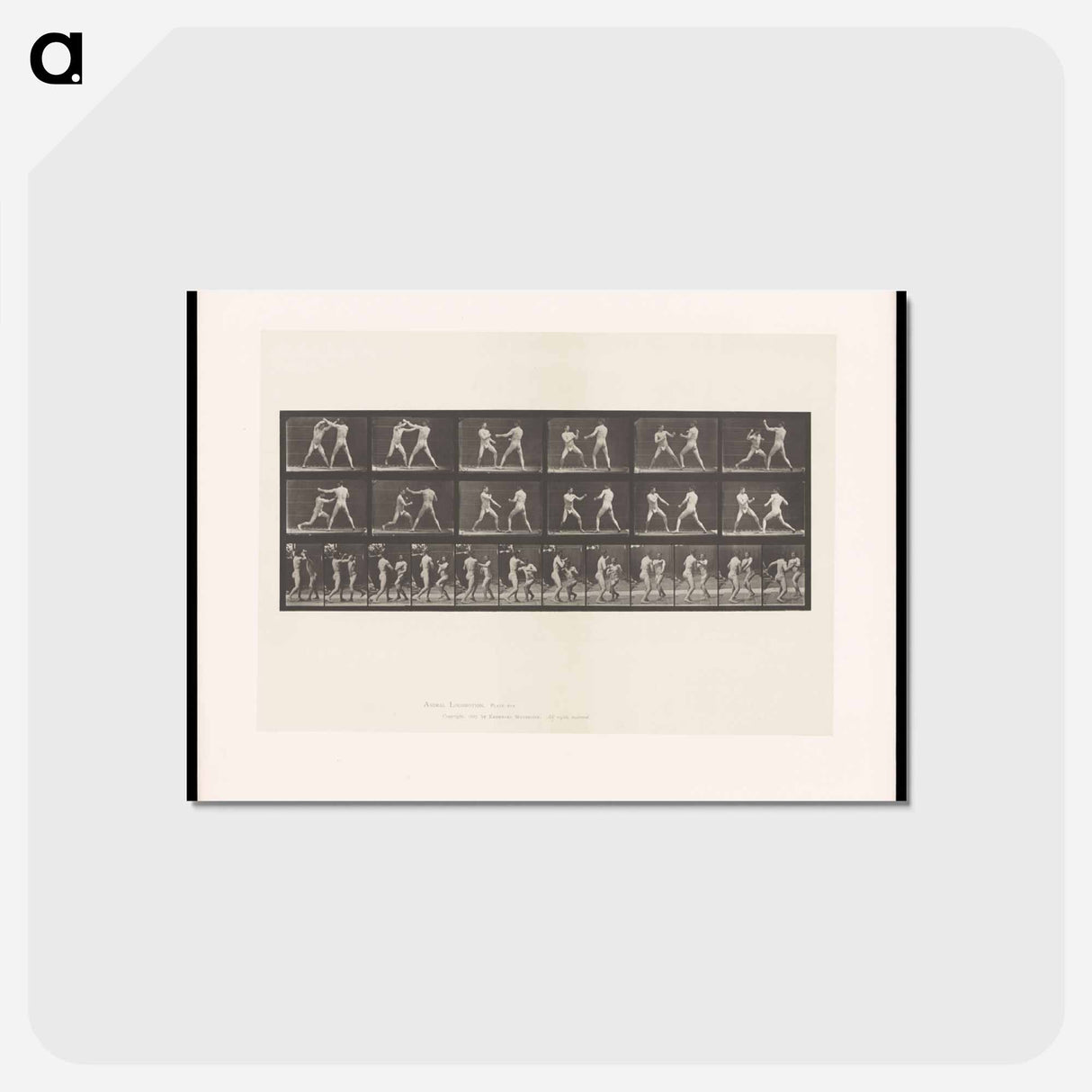 アートポストカード-Bare-Knuckle Boxing
- エドワード マイブリッジ Postcard.