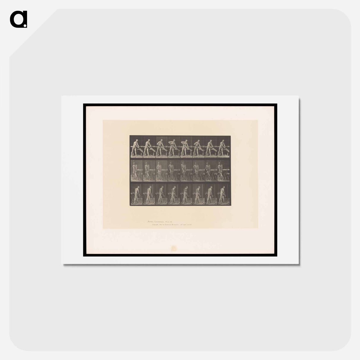 アートポストカード-The Carpenter
- エドワード マイブリッジ Postcard.