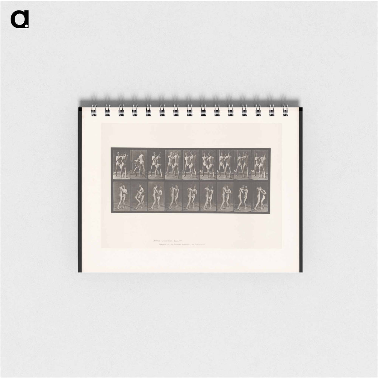アートメモ帳-Pugilists
- エドワード マイブリッジ Memo.