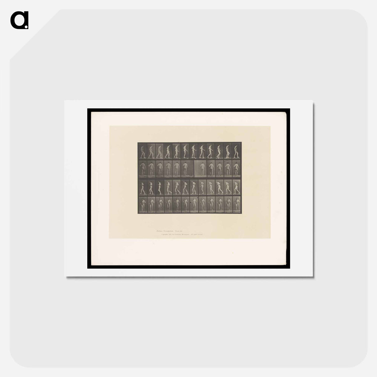 アートポストカード-Walking Man
- エドワード マイブリッジ Postcard.