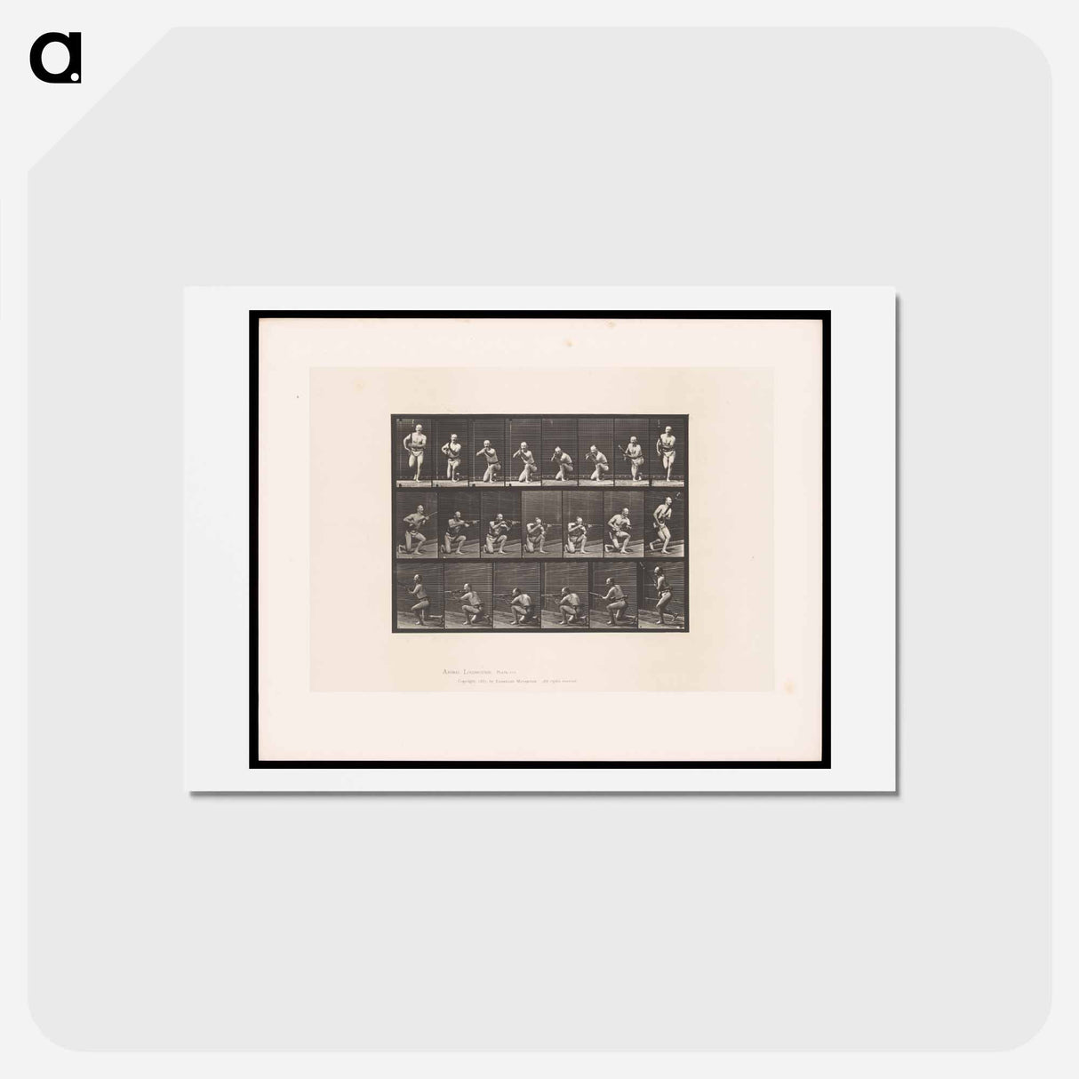 アートポストカード-Man Firing a Gun
- エドワード マイブリッジ Postcard.