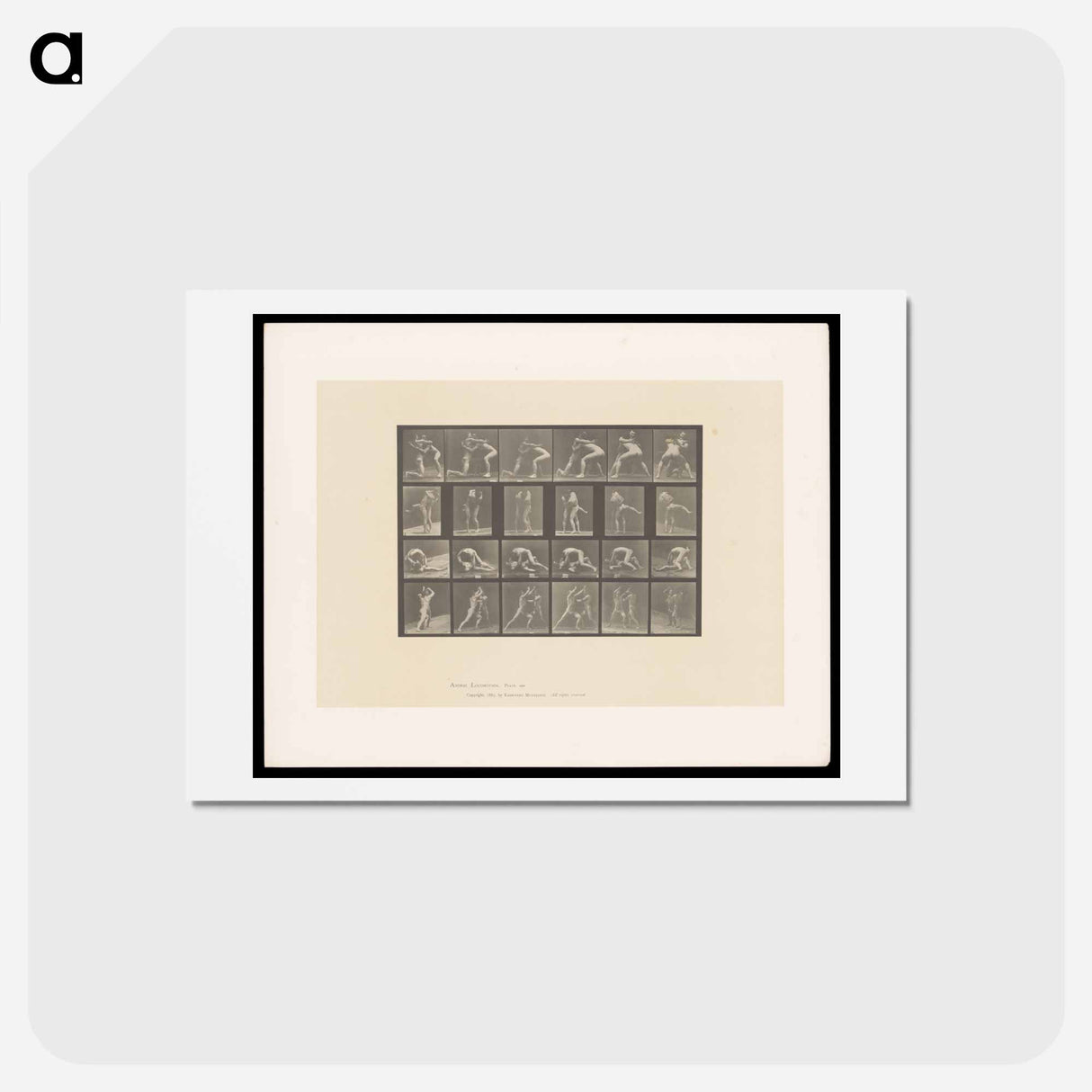 アートポストカード-Wrestlers and Boxers
- エドワード マイブリッジ Postcard.