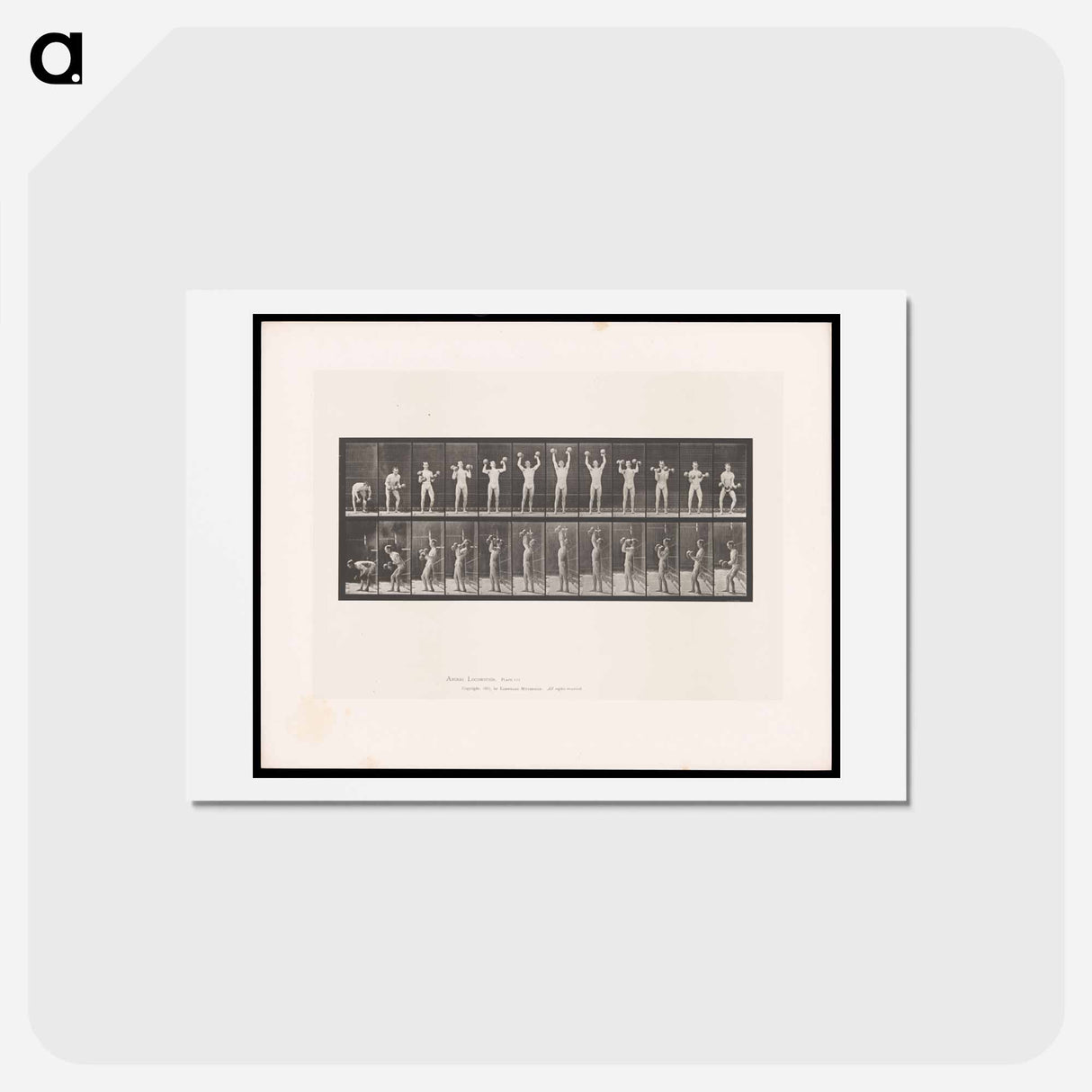 アートポストカード-Weightlifting
- エドワード マイブリッジ Postcard.