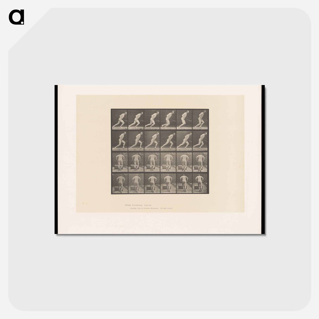 アートポストカード-Man Pushing a Roller
- エドワード マイブリッジ Postcard.