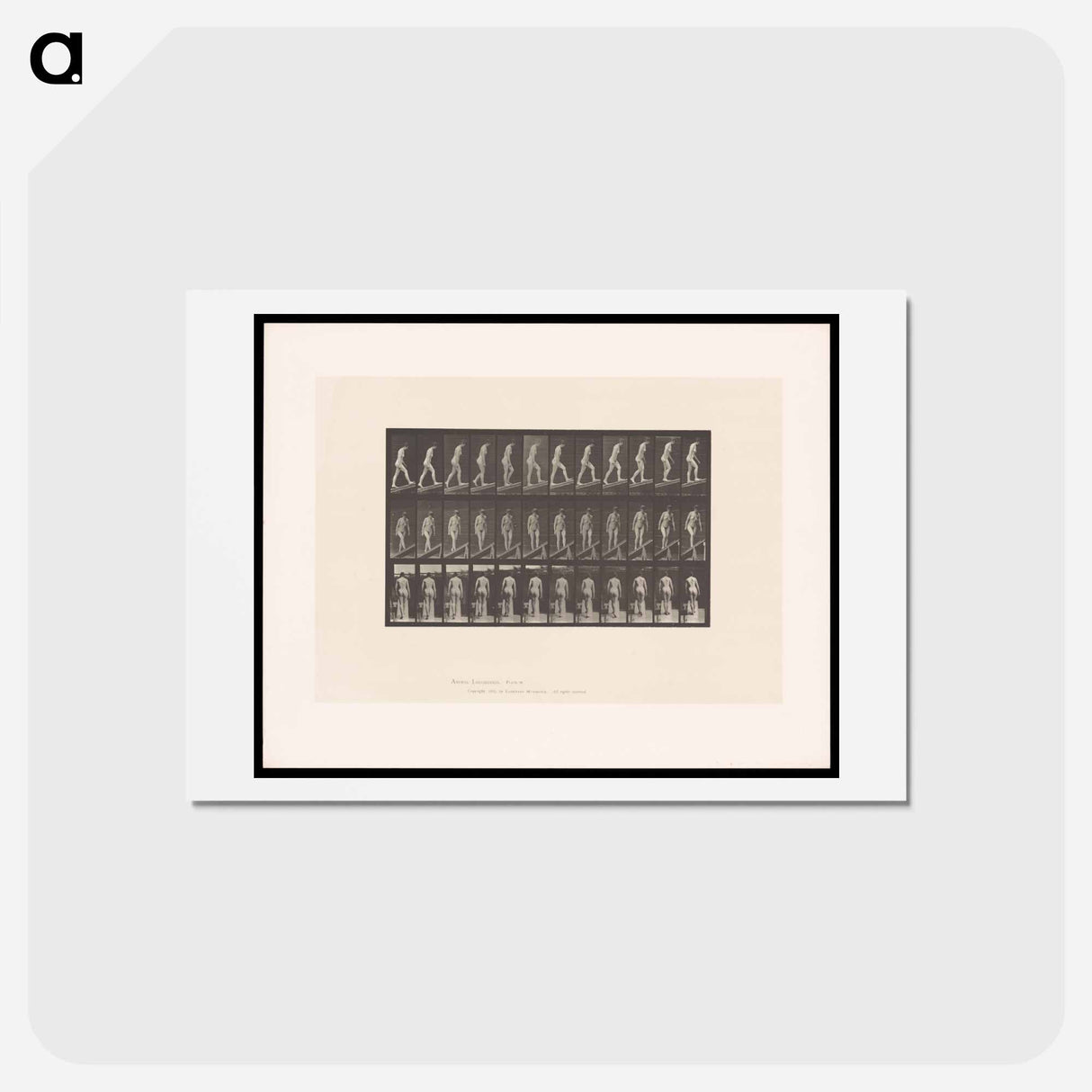 アートポストカード-Woman on a Plank
- エドワード マイブリッジ Postcard.
