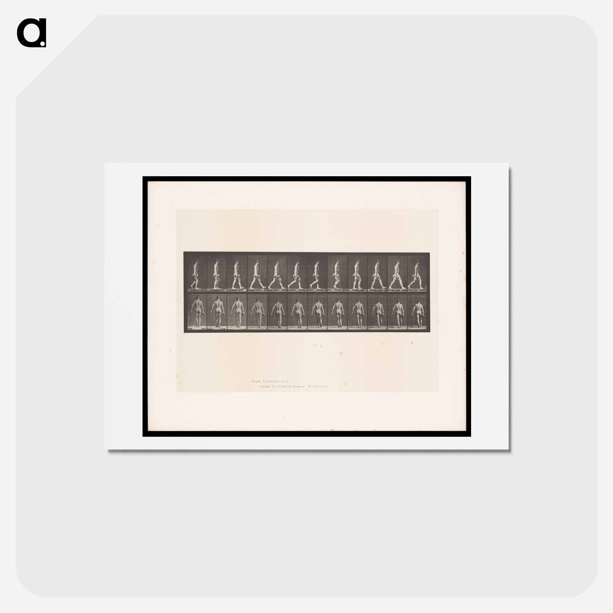 アートポストカード-Naked Man Walking
- エドワード マイブリッジ Postcard.