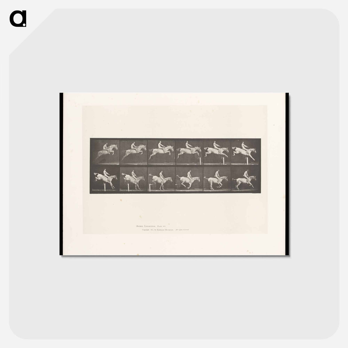 アートポストカード-Man on Horse Jumping a Hurdle
- エドワード マイブリッジ Postcard.