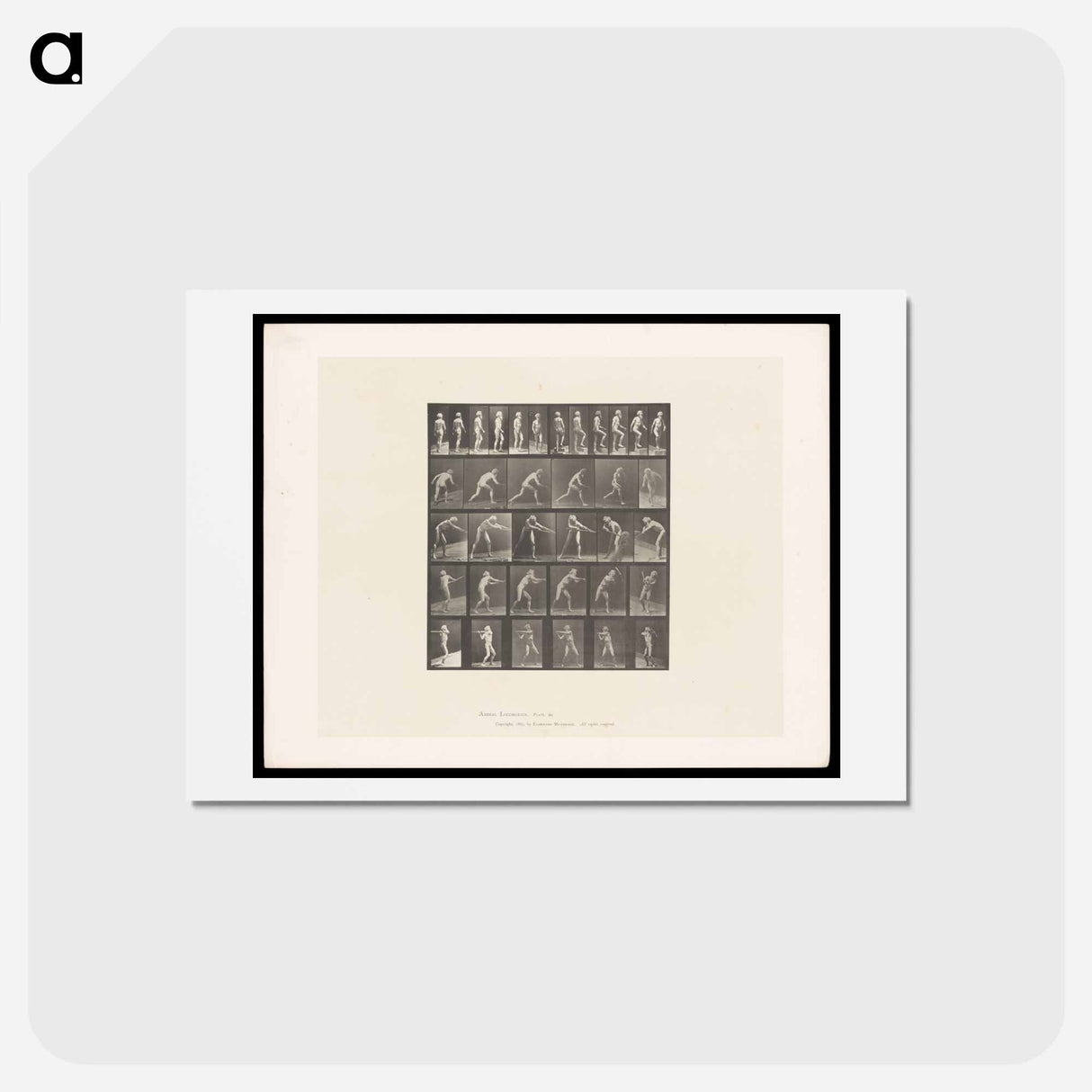 アートポストカード-Motion Studies
- エドワード マイブリッジ Postcard.