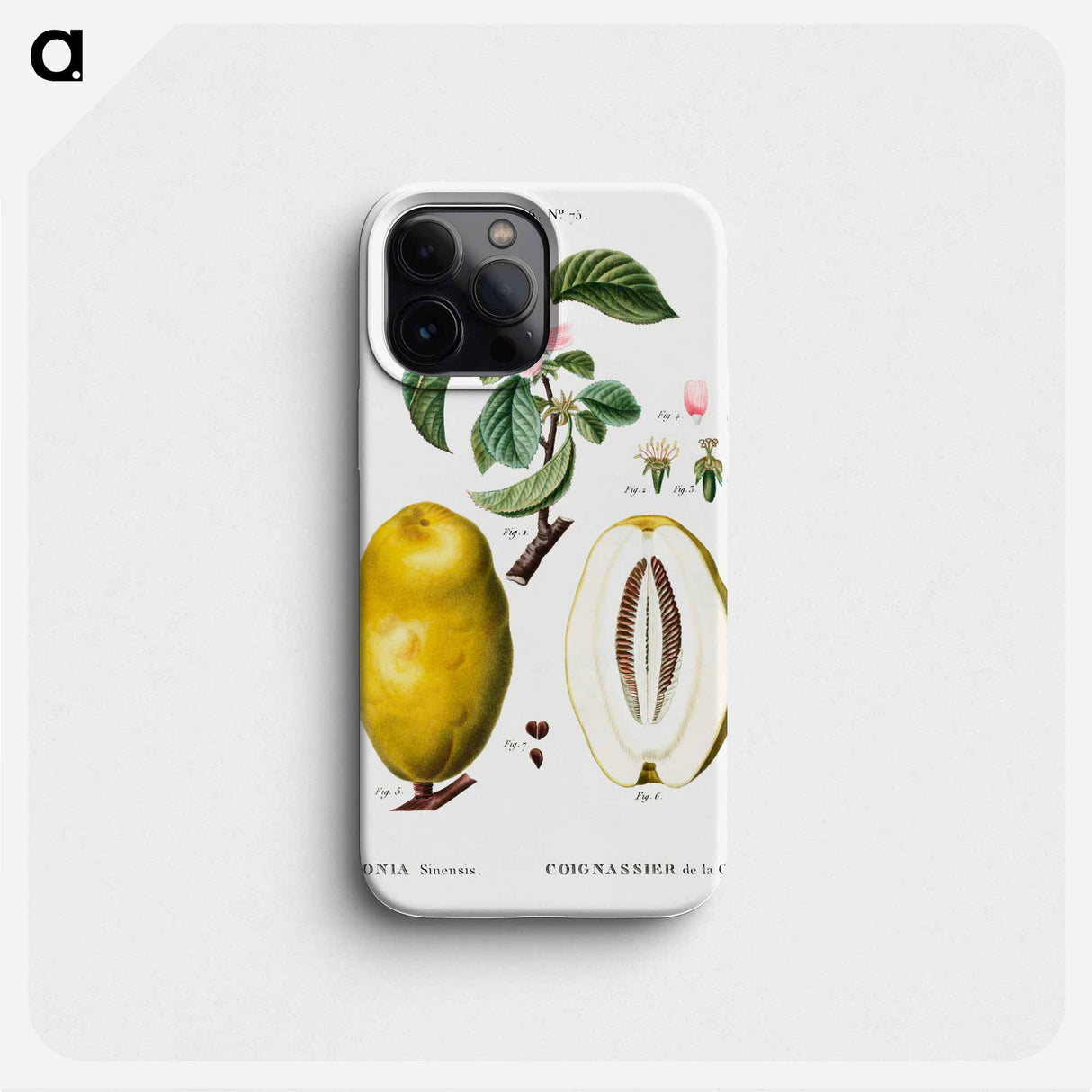 Chinese quince - Pierre Joseph Redouté Phone Case.