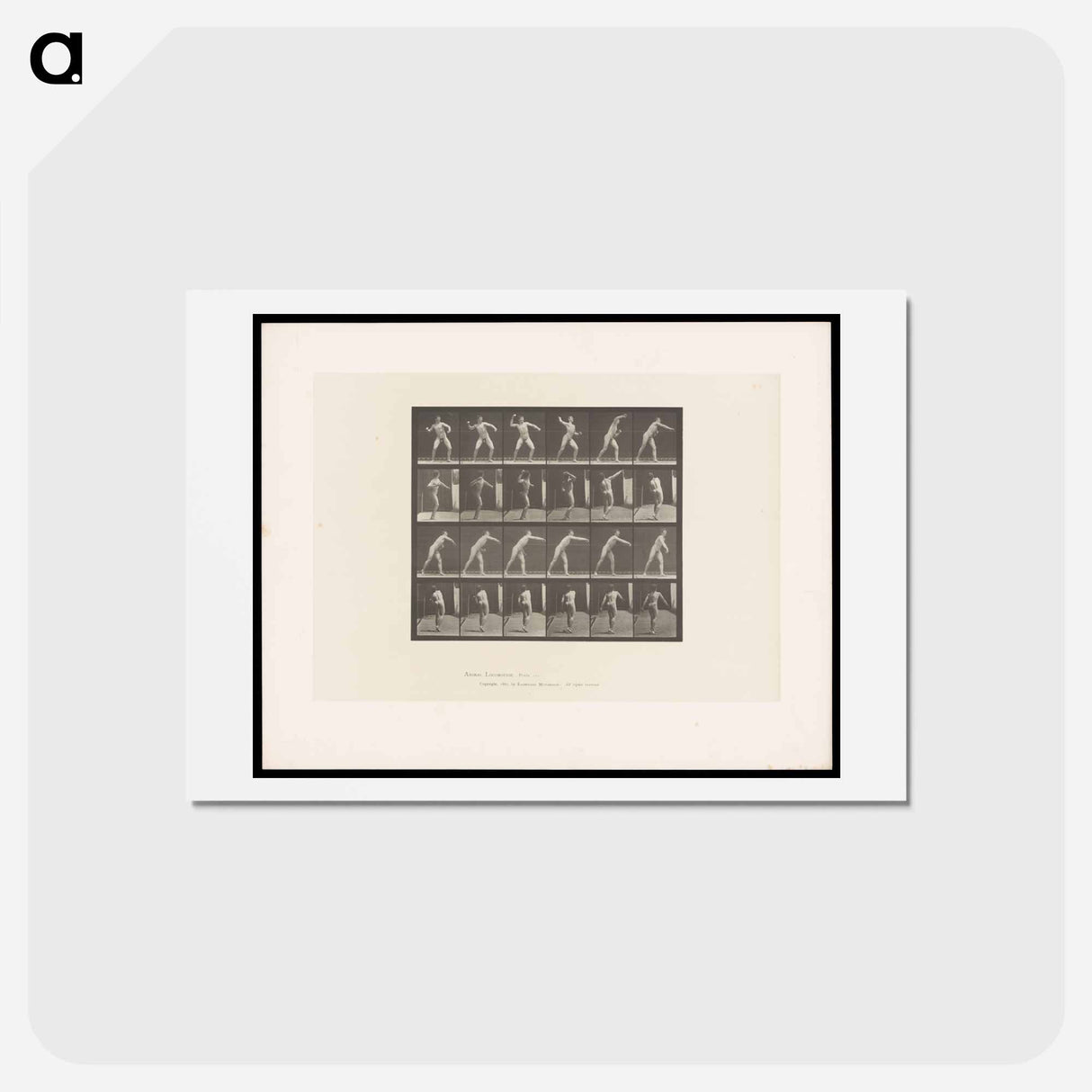アートポストカード-Throwing a Ball
- エドワード マイブリッジ Postcard.