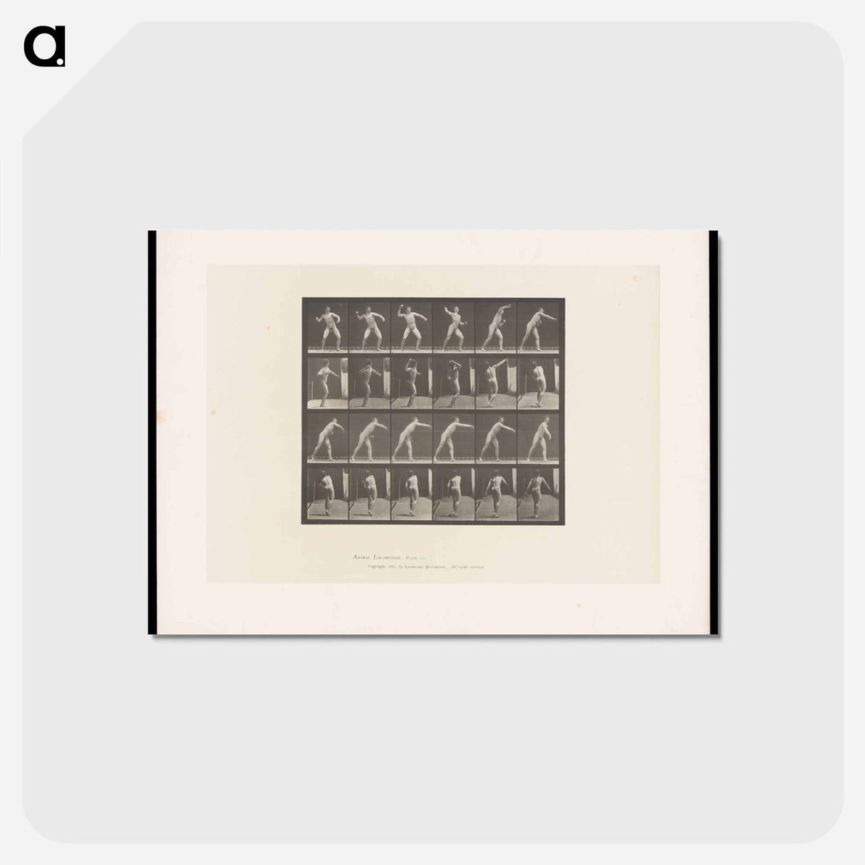 アートポストカード-Throwing a Ball
- エドワード マイブリッジ Postcard.