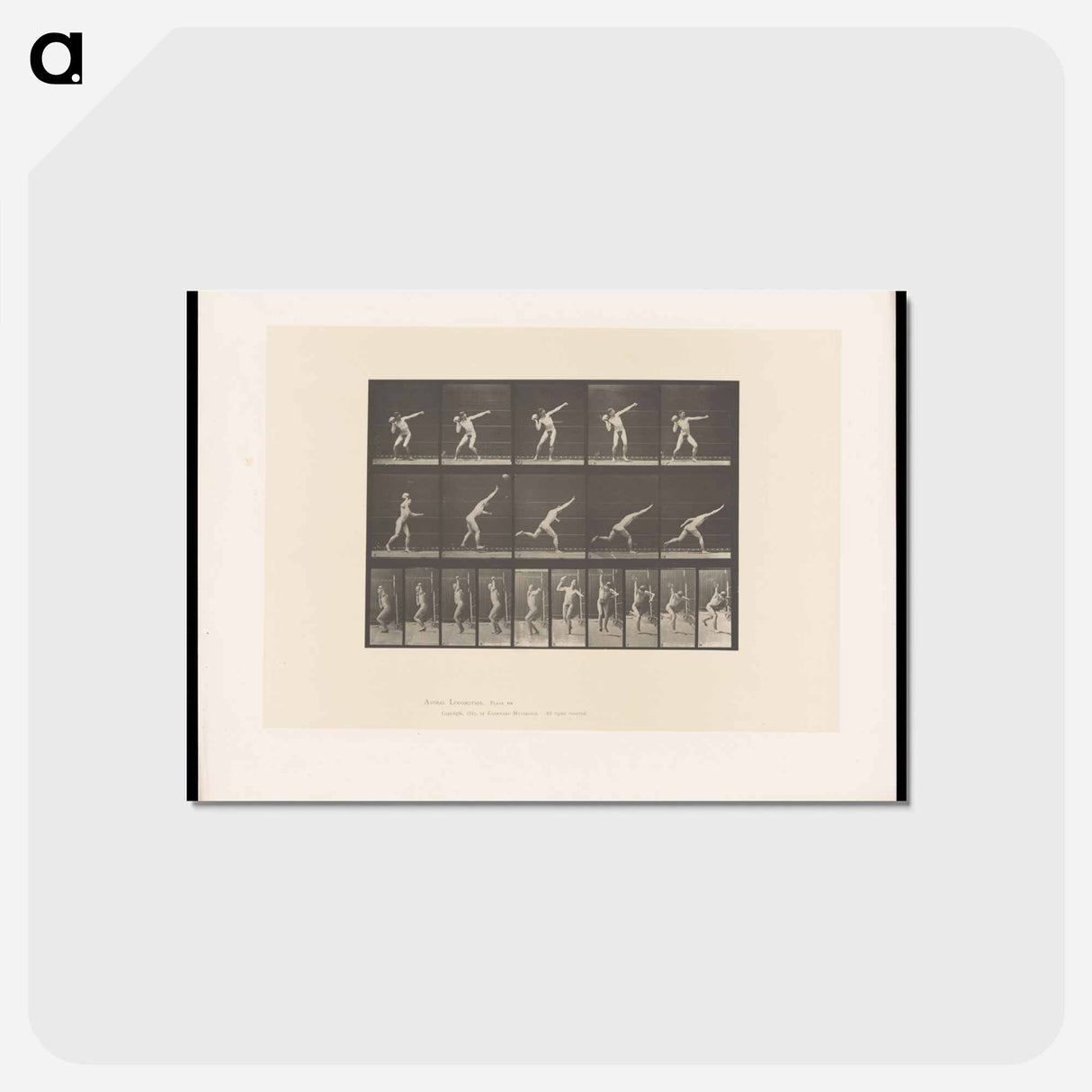 アートポストカード-Putting the Shot
- エドワード マイブリッジ Postcard.